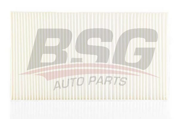 BSG 90145009 Polen Filtresi - . Görsel