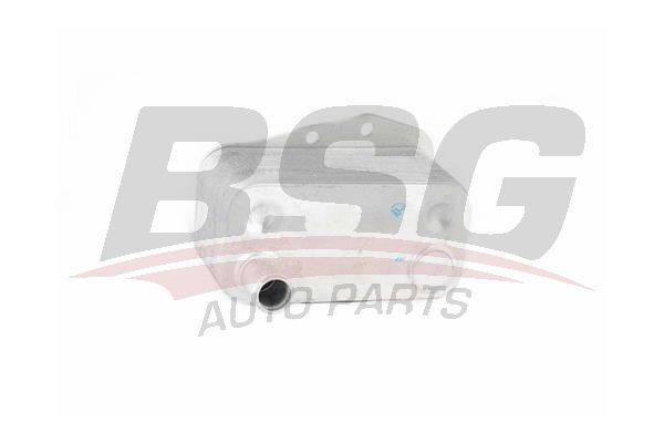 BSG 15506008 Yağ Radyatörü