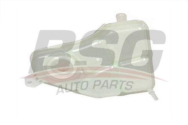 BSG 30550008 Radyatör Yedek Su Deposu