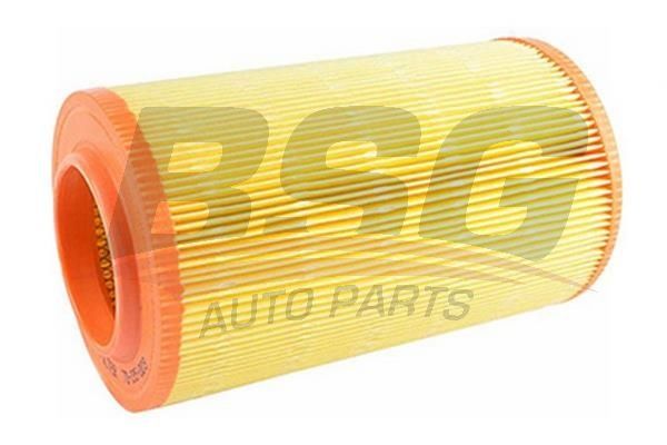 BSG 70135003 Hava Filtresi