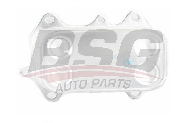 BSG 90506013 Yağ Soğutucusu