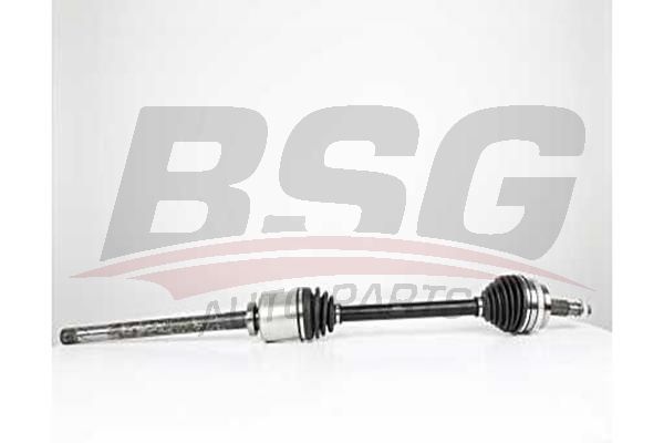 BSG 75350033 Aks Komple Ön Sağ - . Görsel