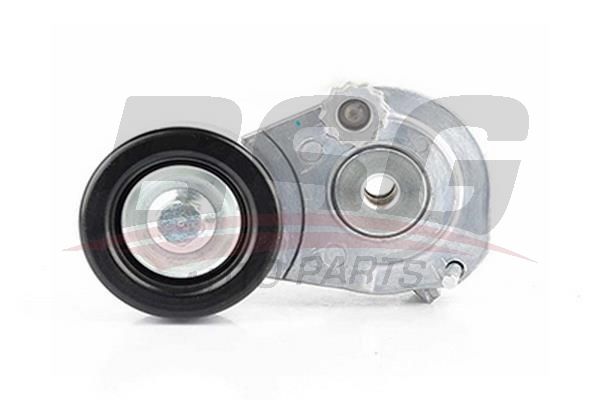 BSG 65615011 V Kayış Gergi Rulmanı