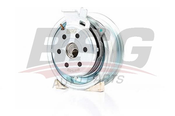 BSG 90615032 Eksantrik Gergi Rulmanı