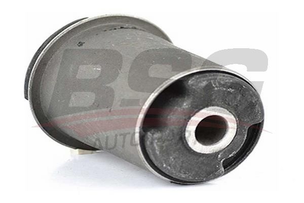 BSG 65700074 Dingil Burcu Arka