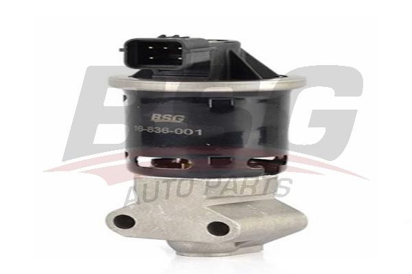 BSG 16836001 Egr Valfi