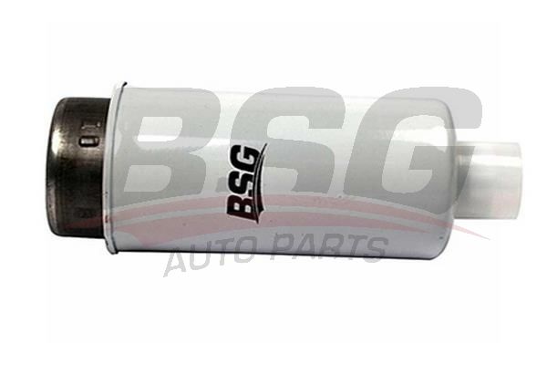 BSG 30130010 Yakıt Filtresi - . Görsel