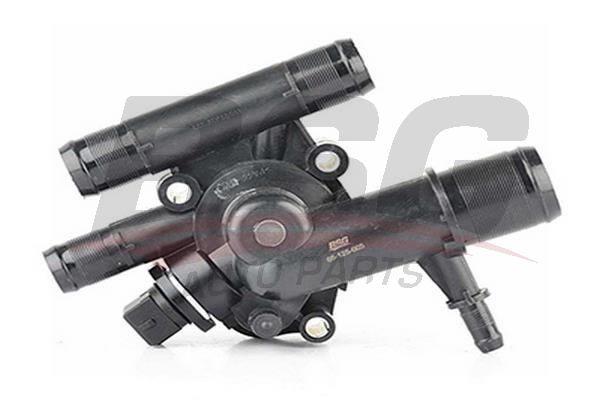 BSG 65125005 Termostat