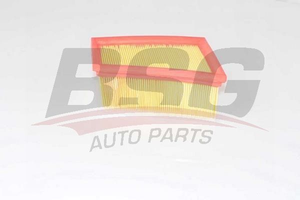 BSG 75135005 Hava Filtresi