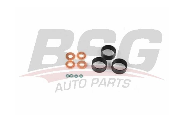 BSG 30116147 Enjektör Oring Takımı