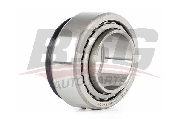 BSG 30605009 Porya Rulmanı Ön - . Görsel