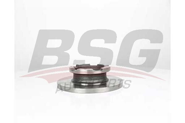 BSG 30210044 Fren Diski Arka