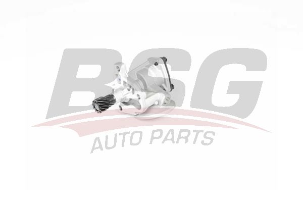 BSG 30101001 Yağ Pompası