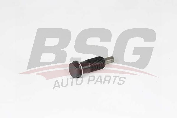BSG 60109011 Eksantrik Zincir Gergisi
