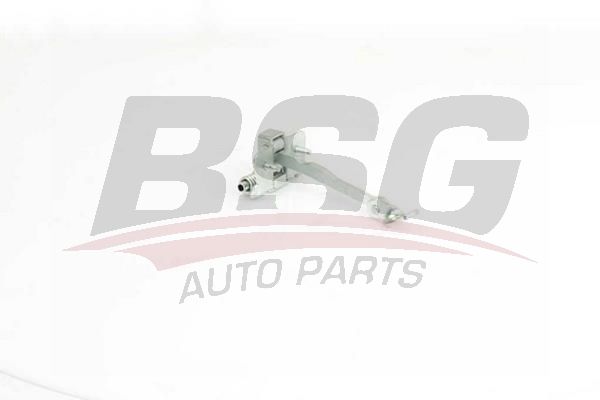 BSG 75975009 Kapı Gergisi Ön