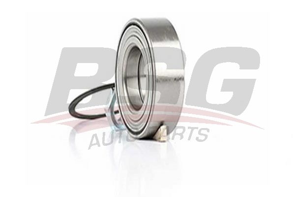 BSG 70605005 Porya Rulmanı Ön - . Görsel