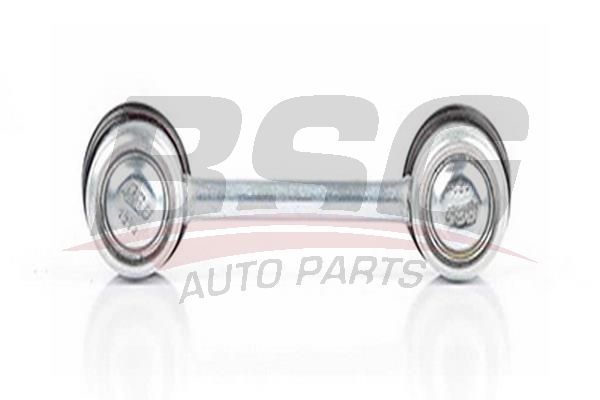 BSG 60310170 Viraj Askı Rotu Arka