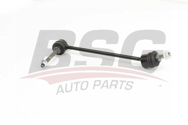 BSG 60310220 Viraj Askı Rotu Ön Sol