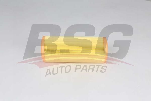 BSG 25135004 Hava Filtresi - . Görsel