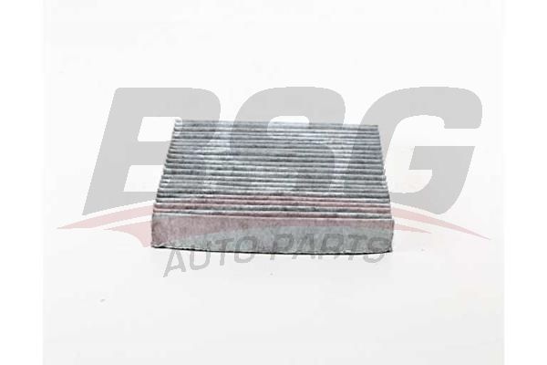 BSG 30145021 Polen Filtresi