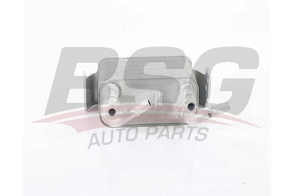 BSG 15506038 Yağ Soğutucusu - . Görsel
