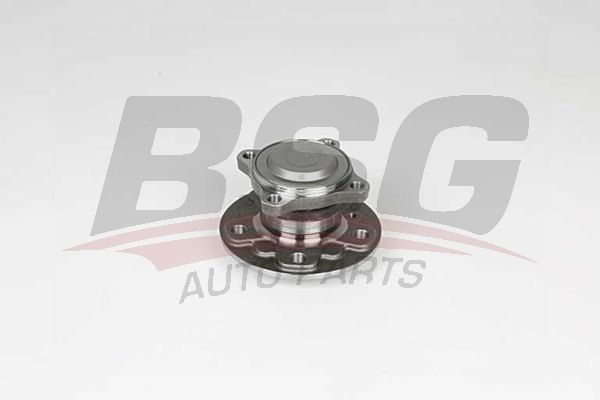 BSG 15600004 Porya Arka - . Görsel