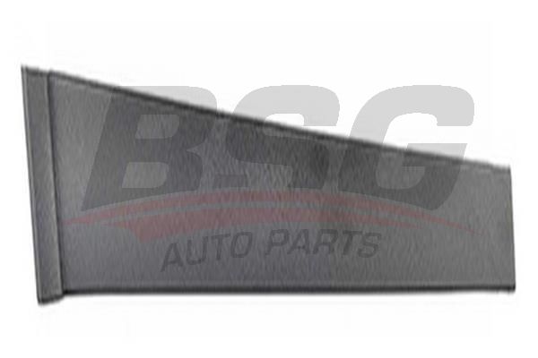 BSG 30925002 Kapı Direk Çıtası Ön Sol