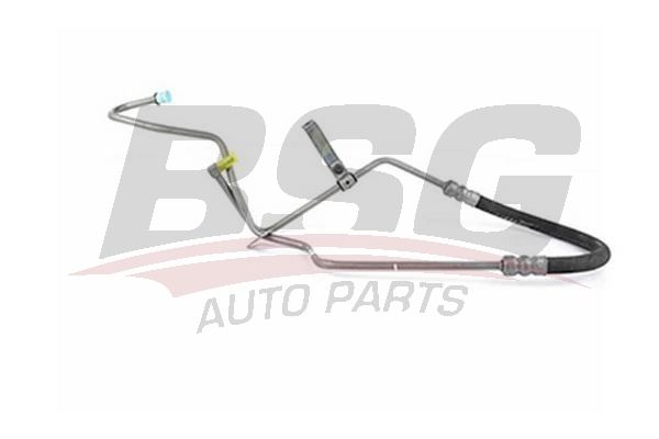 BSG 30725035 Direksiyon Hortumu