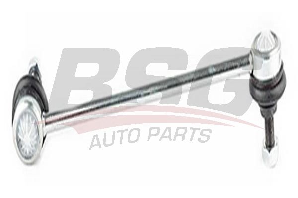 BSG 60310004 Viraj Askı Rotu Ön