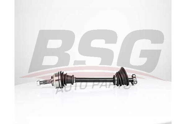 BSG 75350030 Aks Komple Ön Sol