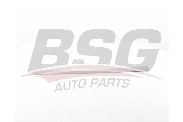 BSG 70925005 Kapı Bandı Ön Sol