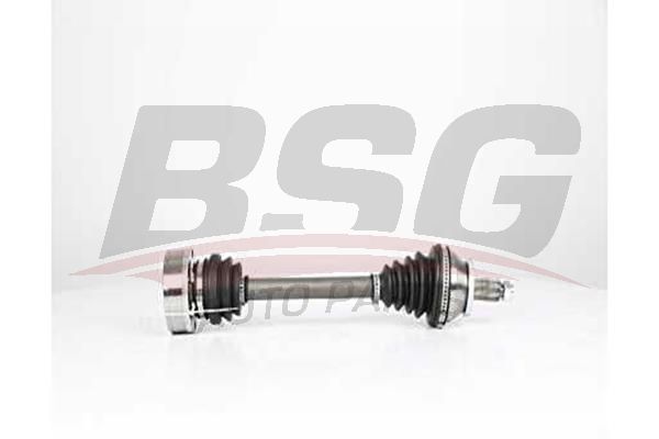 BSG 90350031 Aks Komple Ön Sol - . Görsel