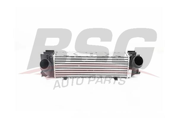 BSG 15535016 Turbo Radyatörü