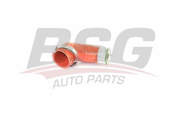 BSG 90720134 Turbo Hortumu