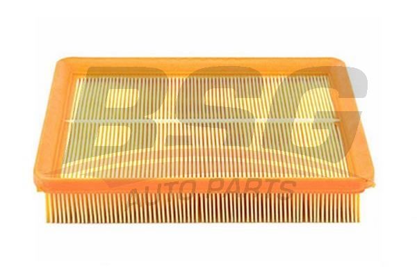 BSG 40135015 Hava Filtresi - . Görsel