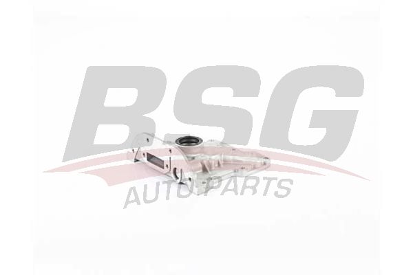 BSG 90101002 Yağ Pompası