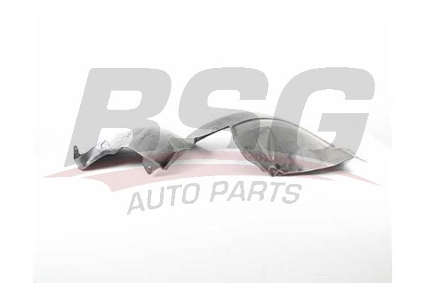 BSG 75923004 Çamurluk Davlumbazı Ön Sağ