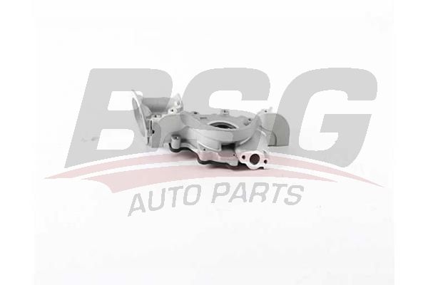 BSG 30101006 Yağ Pompası