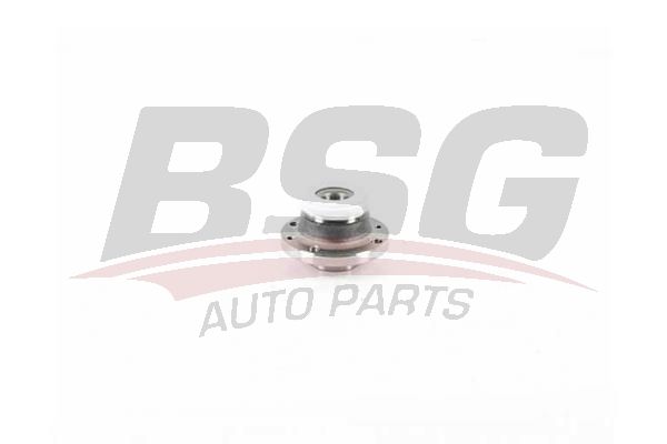 BSG 25325001 Porya Arka