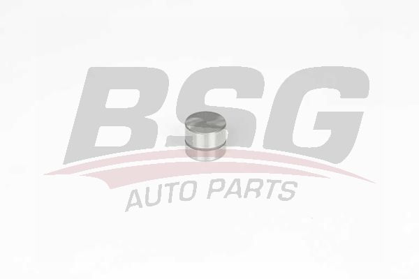 BSG 65122022 Supap Itıcısı
