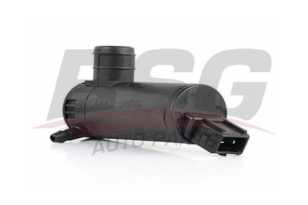 BSG 30850001 Su Fıskiye Motoru