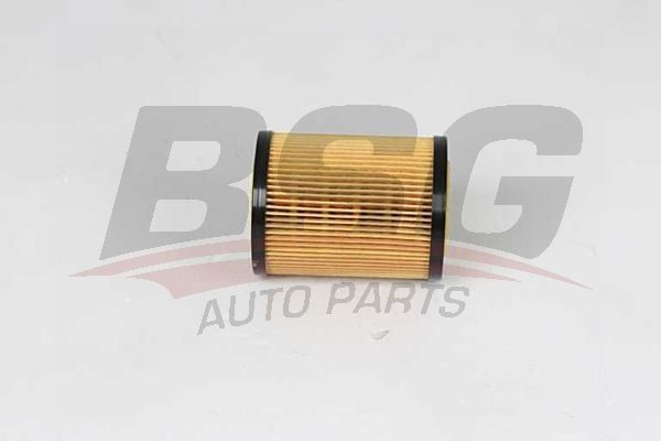 BSG 60140011 Yağ Filtresi