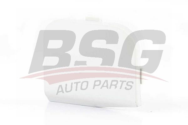 BSG 30922092 Çeki Demir Kapağı Ön