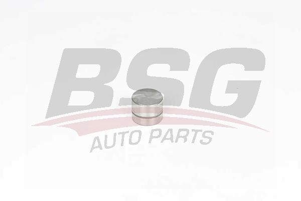 BSG 90122022 Supap Kadehı Egzoz