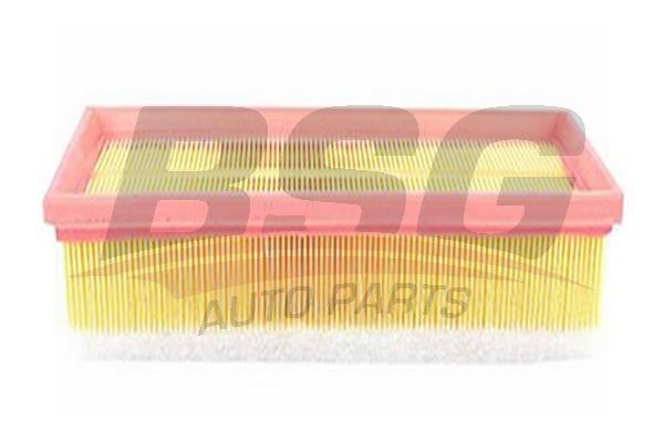 BSG 70135002 Hava Filtresi