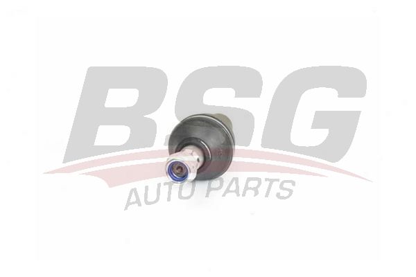 BSG 60310033 Rotil Alt