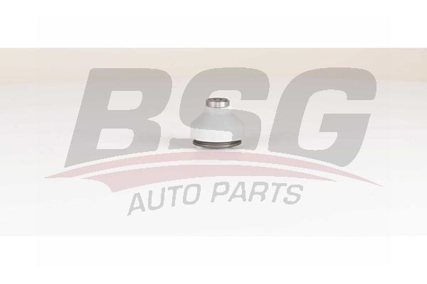 BSG 75310041 Rotil Alt