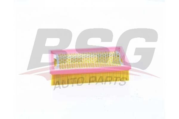 BSG 60135038 Hava Filtresi