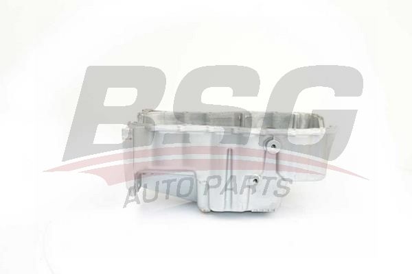 BSG 75160002 Yağ Karteri