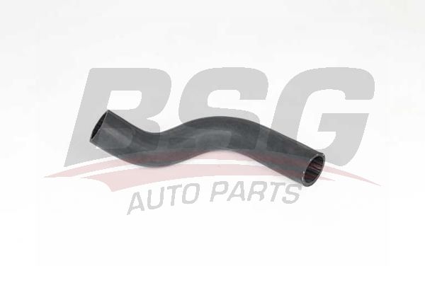 BSG 65700344 Turbo Hortumu